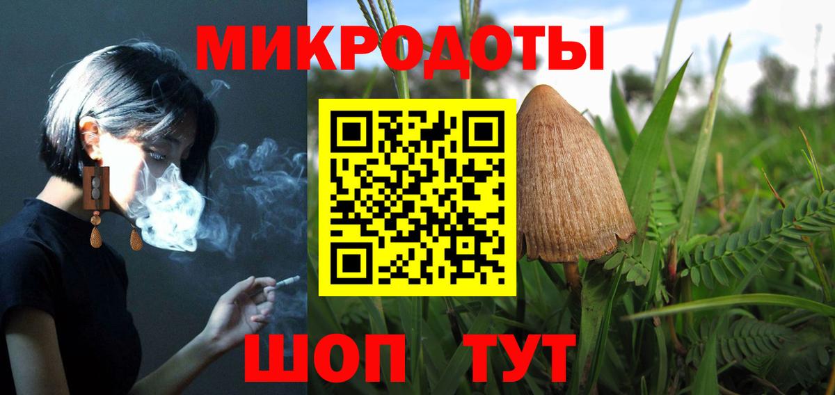 Псилоцибиновые грибы Psilocybe Северобайкальск